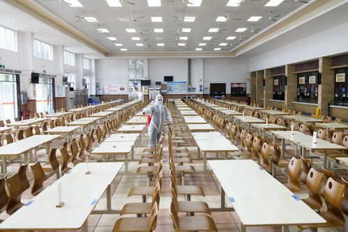 餐餐添香，楠傲承包——佛山三水工廠員工食堂的食材鮮味與品質(zhì)承諾